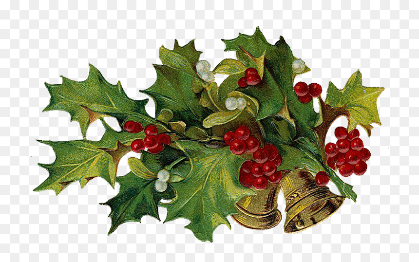 Holiday Archives Page Of The Graffical Muse - Vintage Christmas Clipart Free, HD Png Download - holly png