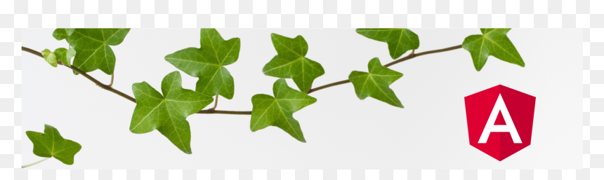 Ivy, HD Png Download - ivy png