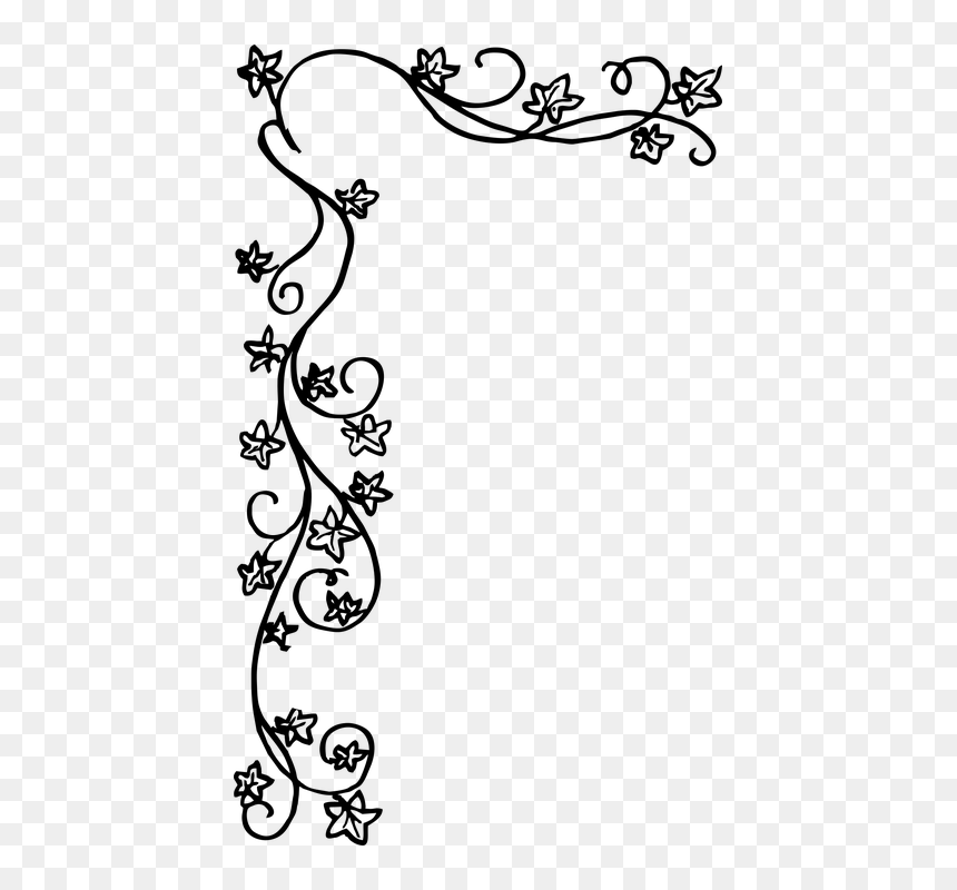 Floral Borders Black And White, HD Png Download - ivy png