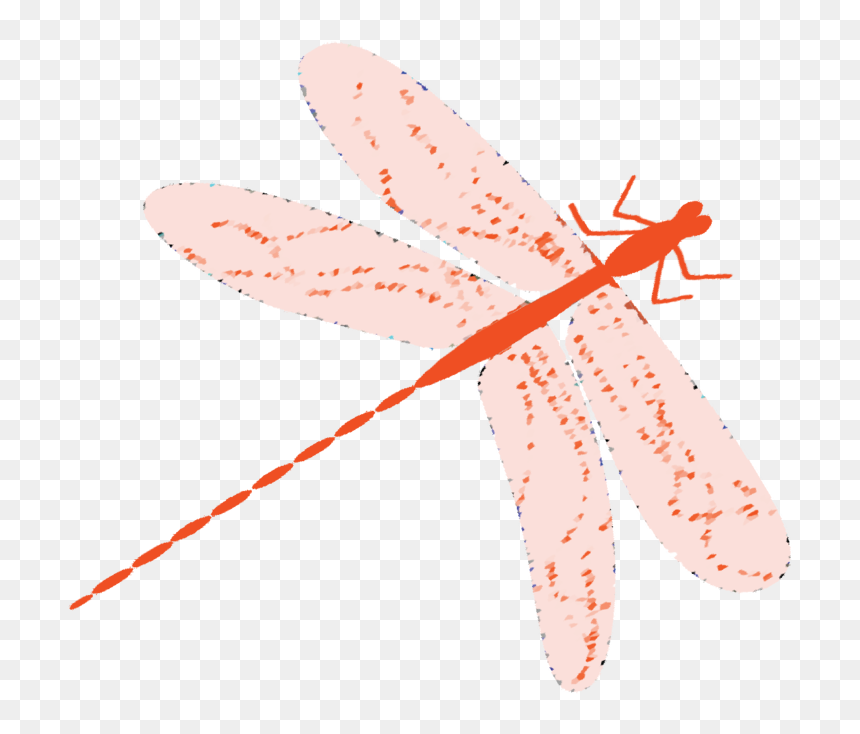 Transparent Dragonfly Png - Dragonfly, Png Download - dragonfly wings png