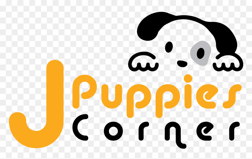Page Corner Png, Transparent Png - page corner png