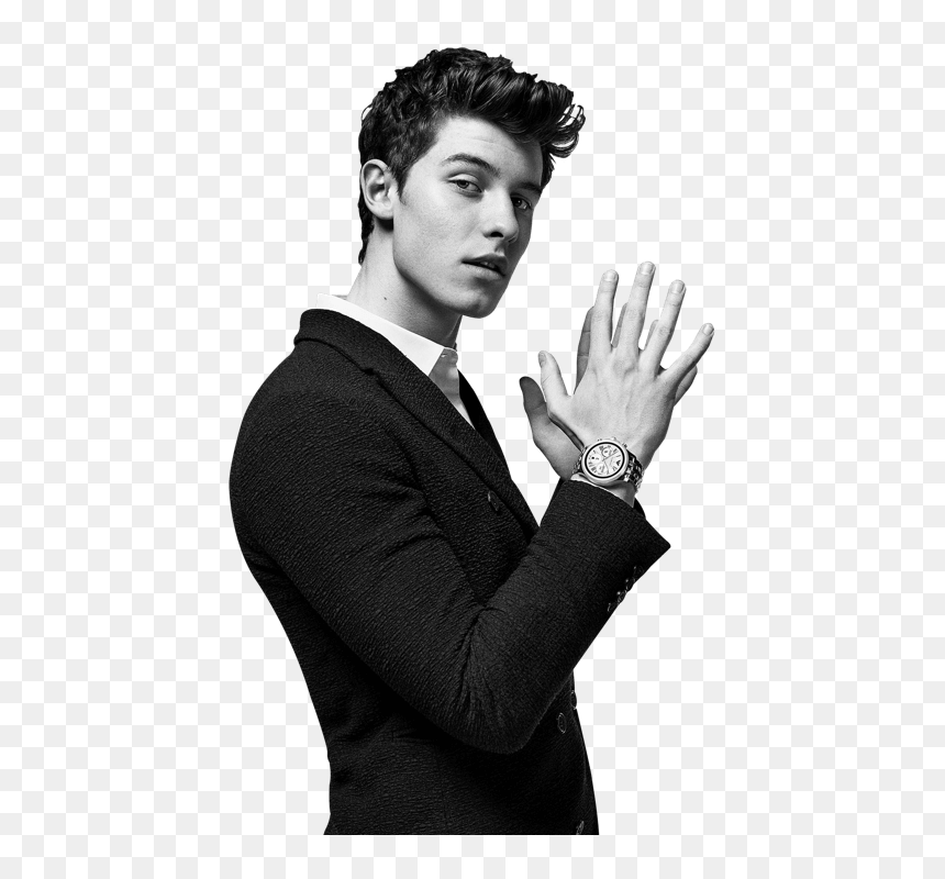 Shawn Mendes Png Black And White, Transparent Png - justin bieber head png