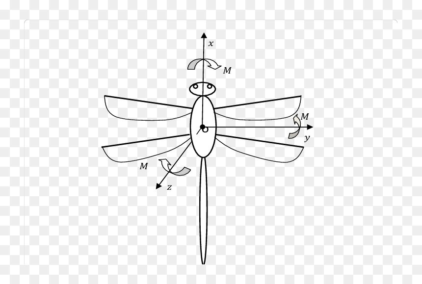 Technical Drawing, HD Png Download - dragonfly wings png