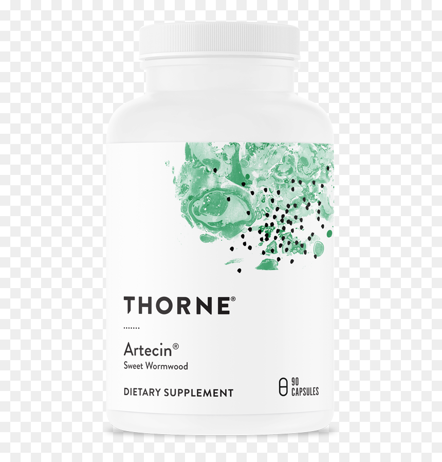 Thorne Berbercap, HD Png Download - intestines png
