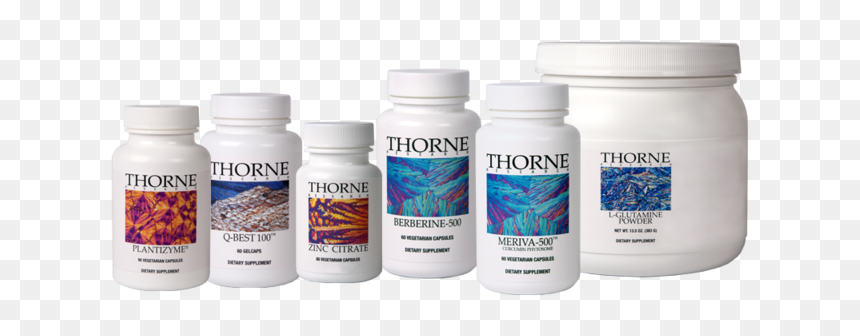 Leaky Gut Best Supplements, HD Png Download - intestines png
