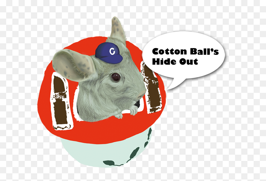Cotton Ball"s Hideout - Student, HD Png Download - cotton ball png