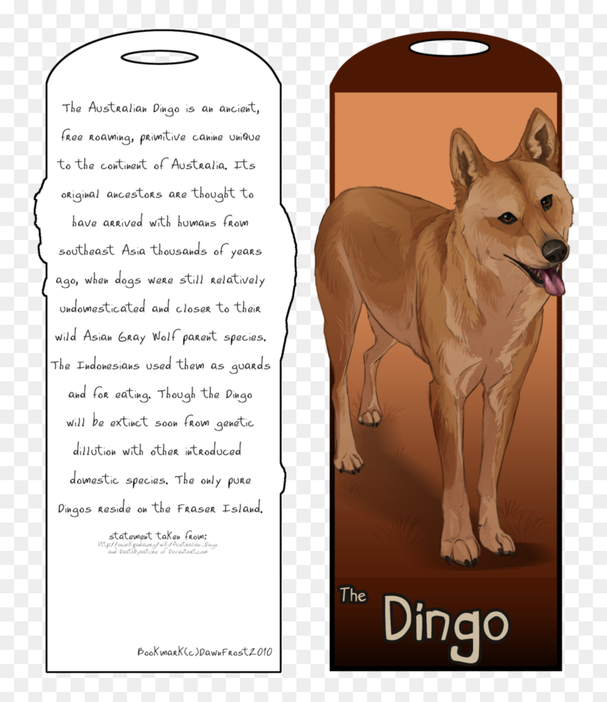 Dog Licks, HD Png Download - dingo png