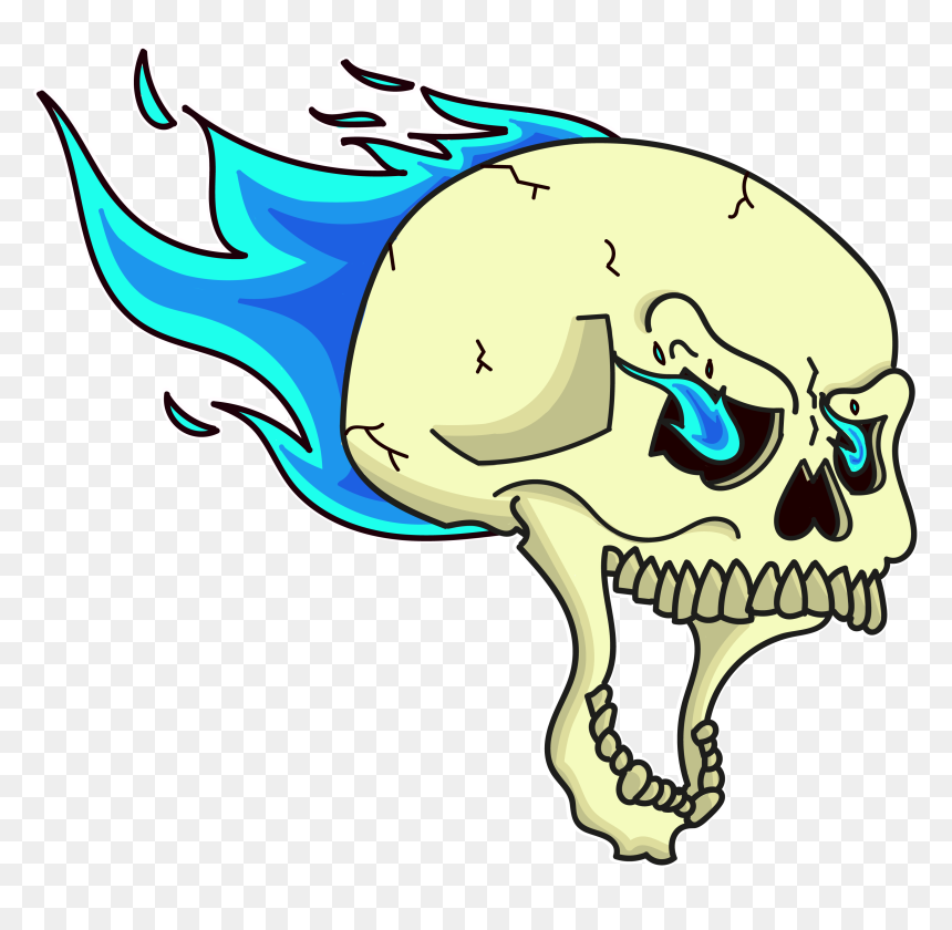 Skull Xo White Border , Png Download, Transparent Png - skull border png