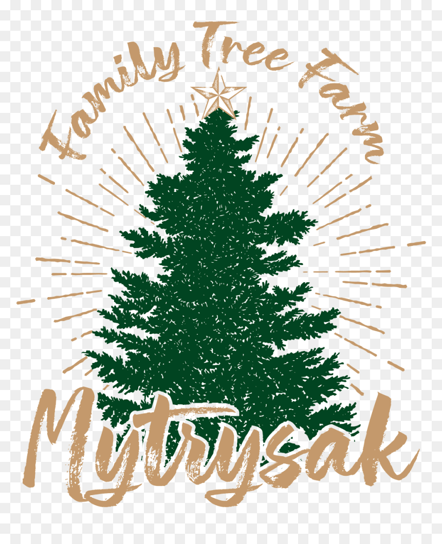 Mytrysak Family Tree Farm Logo - Family Tree, HD Png Download - green christmas ornament png