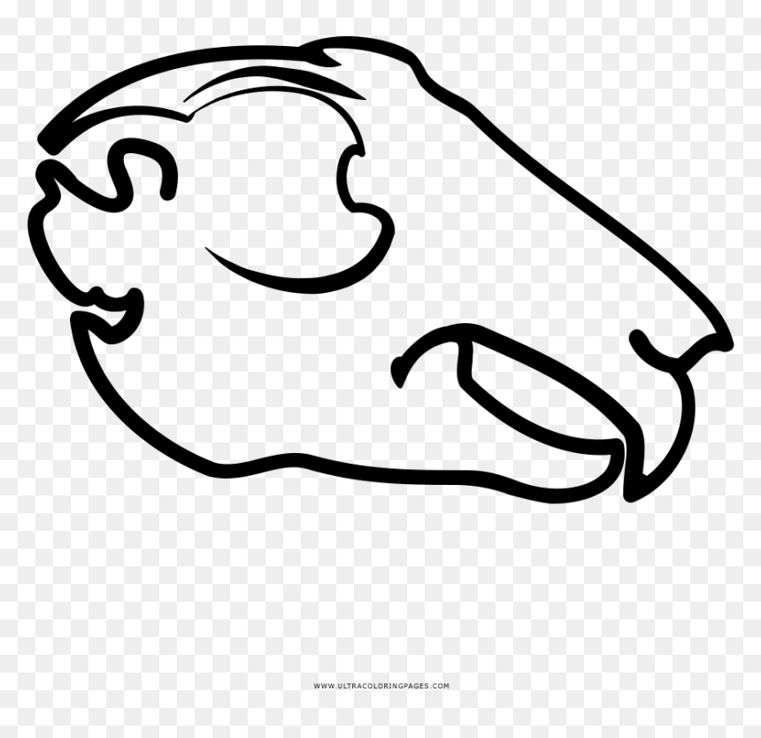 Animal Skull Coloring Page - Clip Art Animal Skull, HD Png Download - skull border png