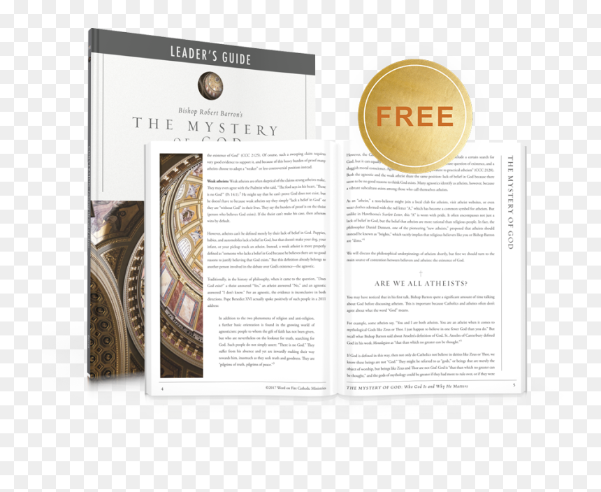 Brochure, HD Png Download - mystery person png