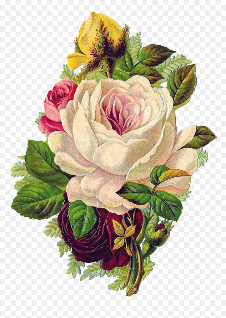 Rose Flower Paper The Babys Bouquet - Painted Flower Old Png, Transparent Png - flower vintage png