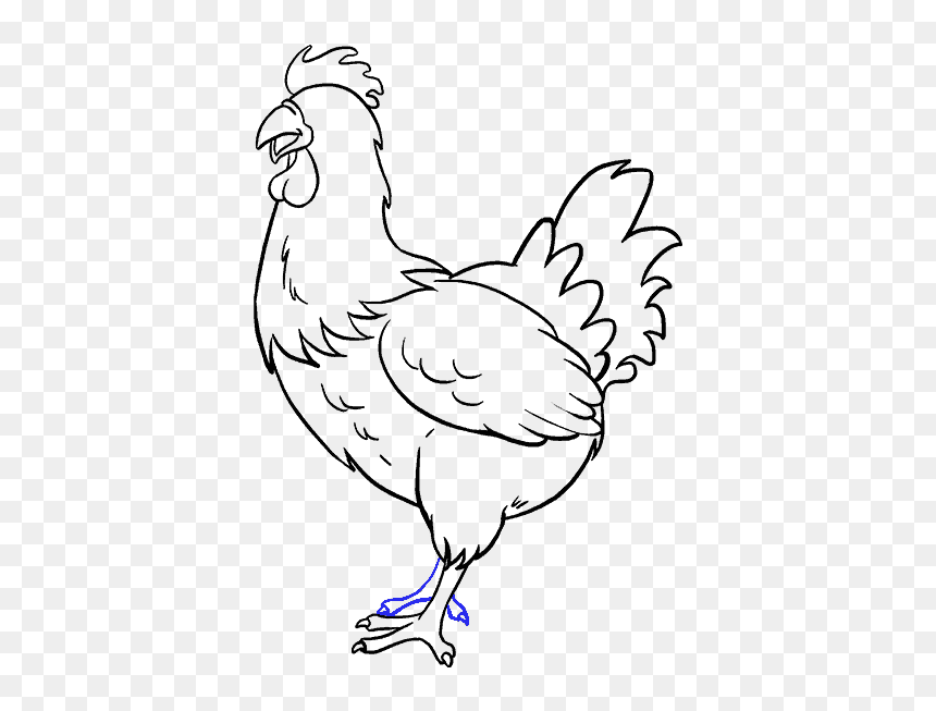 How To Draw Chicken - Chicken Drawing Easy, HD Png Download - chicken head png
