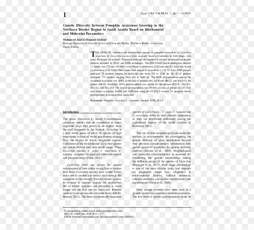 Folio Fifteen From Burchard Of Sion's De Locis Ac Mirabilibus, HD Png Download - pumpkin border png