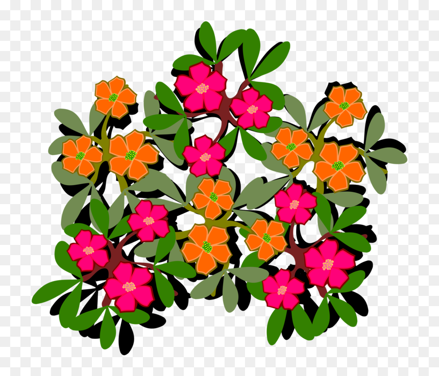 Plant,flower,shrub - Portulaca Grandiflora Clip Art, HD Png Download - flowering shrub png