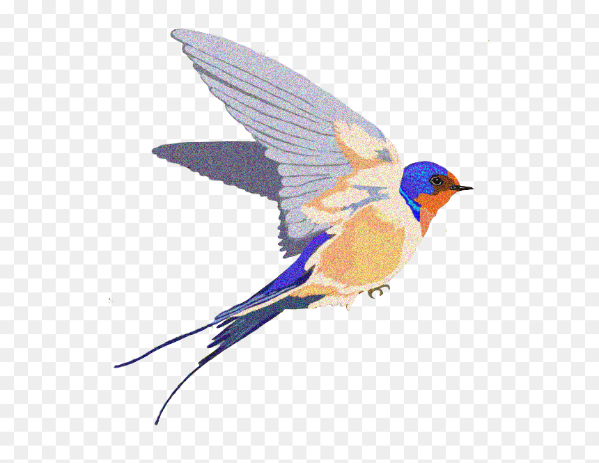 Download Barn Swallow Background Png - Barn Swallow Clipart, Transparent Png - barn silhouette png