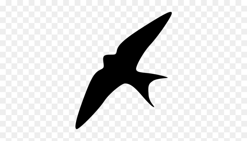 Photography - Barn Swallow Silhouette, HD Png Download - barn silhouette png