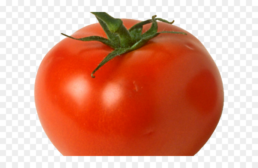 Transparent Bob The Tomato Png - Red Tomato, Png Download - bob the tomato png
