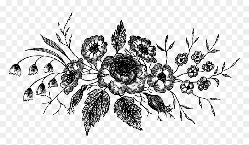 Flower Design Illustration Png, Transparent Png - flower illustration png