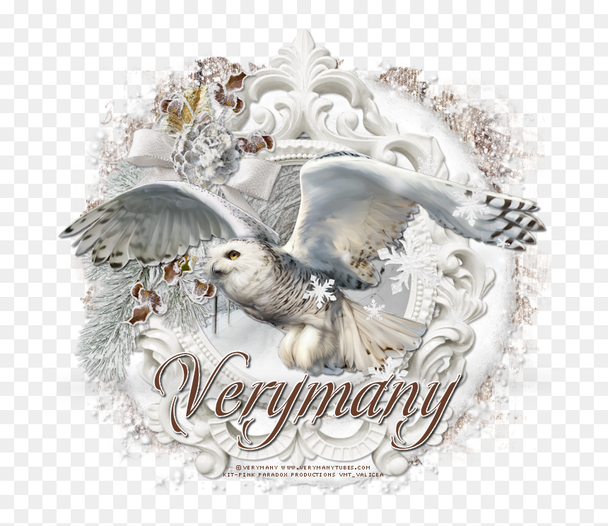 Transparent White Owl Png - Snowy Owl, Png Download - white owl png