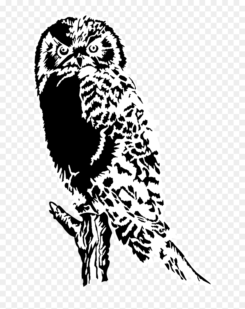 Owl In Tree Silhouette, HD Png Download - white owl png