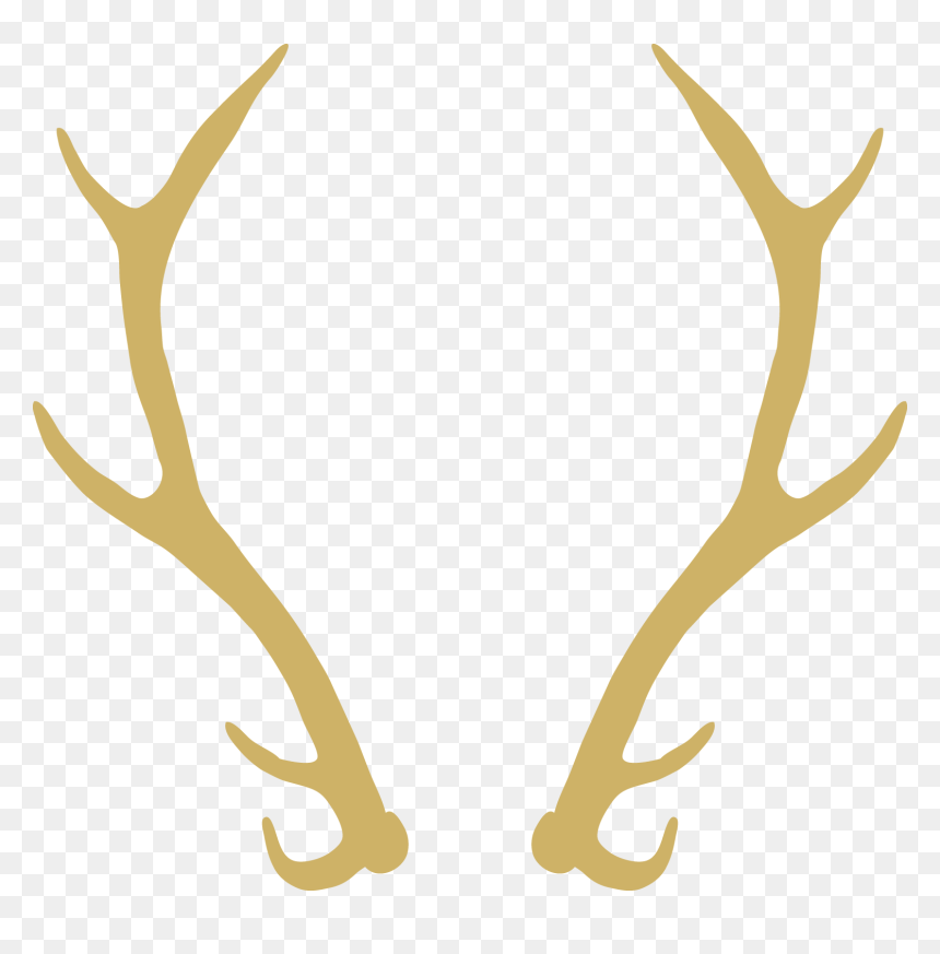 Image Transparent Download Wedding Invitation Wreath - Transparent Background Reindeer Antlers Clipart, HD Png Download - wedding invitation png