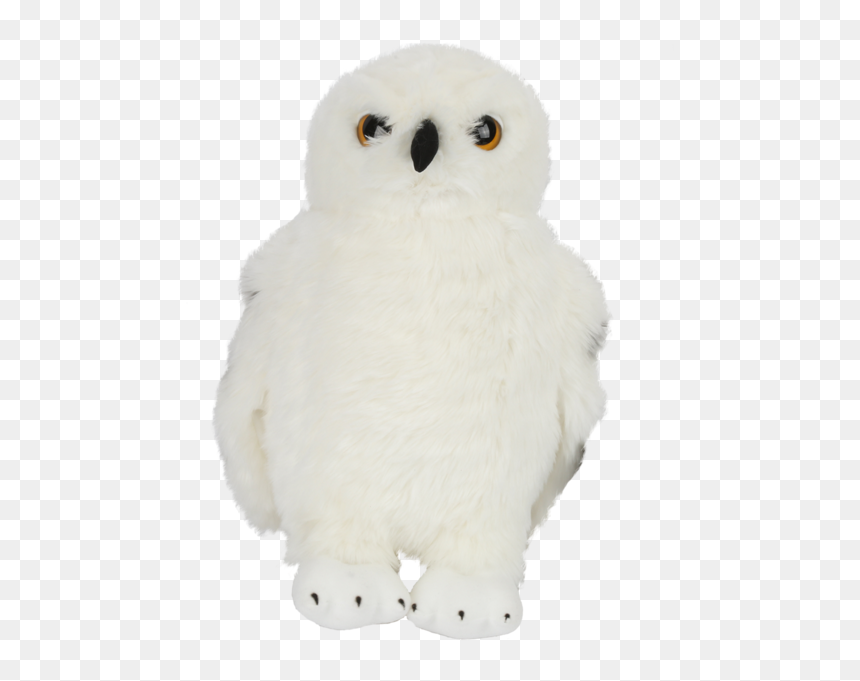 Snowy Owl, HD Png Download - white owl png