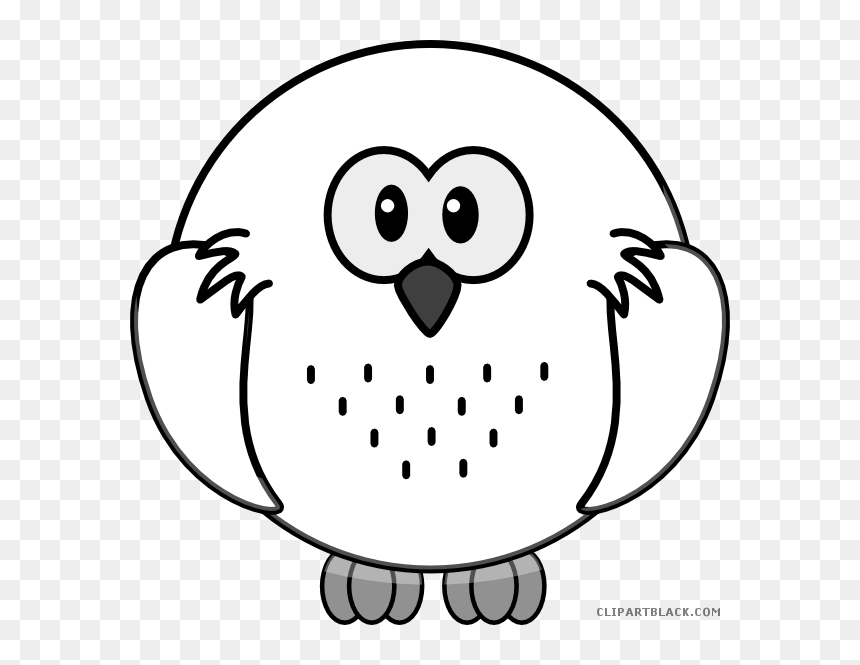 Snowy Owl Animal Free Black White Clipart Images Clipartblack, HD Png Download - white owl png
