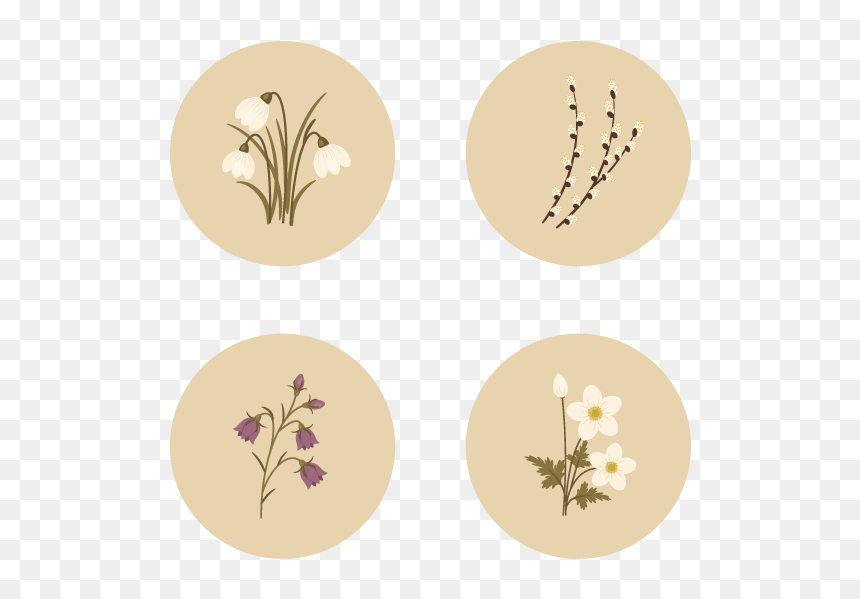 Adobe Illustrator, HD Png Download - flower illustration png