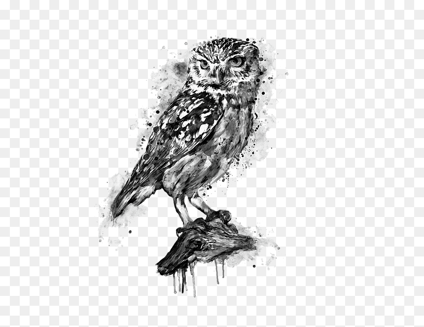 Black And White Owl Art, HD Png Download - white owl png