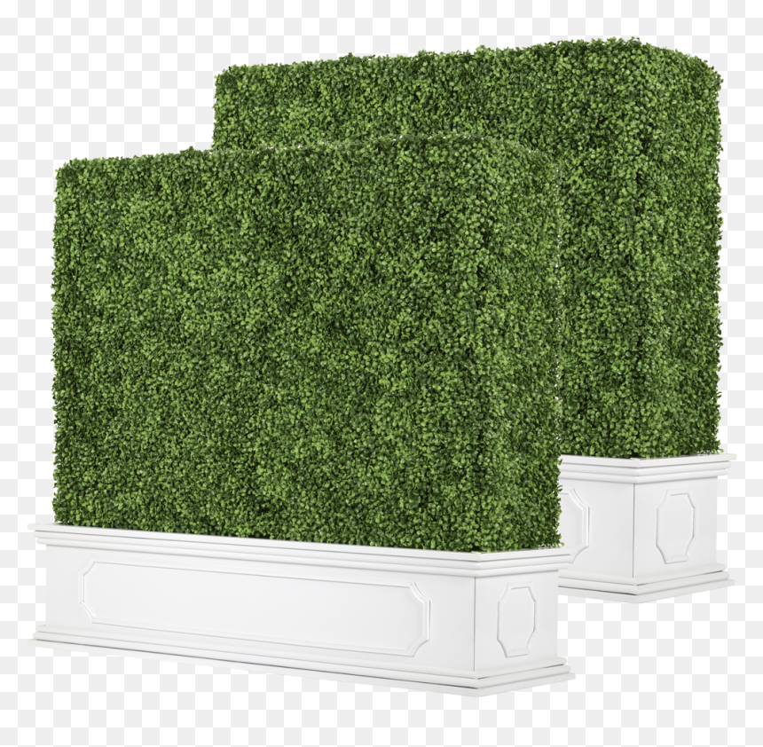 Hedge, HD Png Download - hedges png