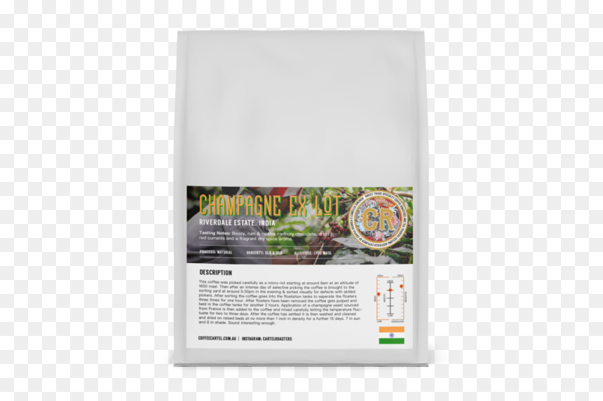 African Grey, HD Png Download - riverdale png