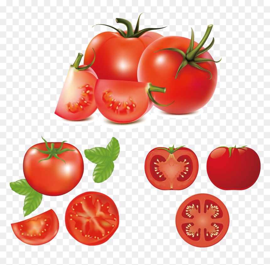 Hamburger Caprese Salad Clip Art Fresh Tomatoes, HD Png Download - bob the tomato png