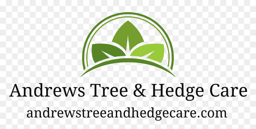 Proyecto Clamber, HD Png Download - hedges png
