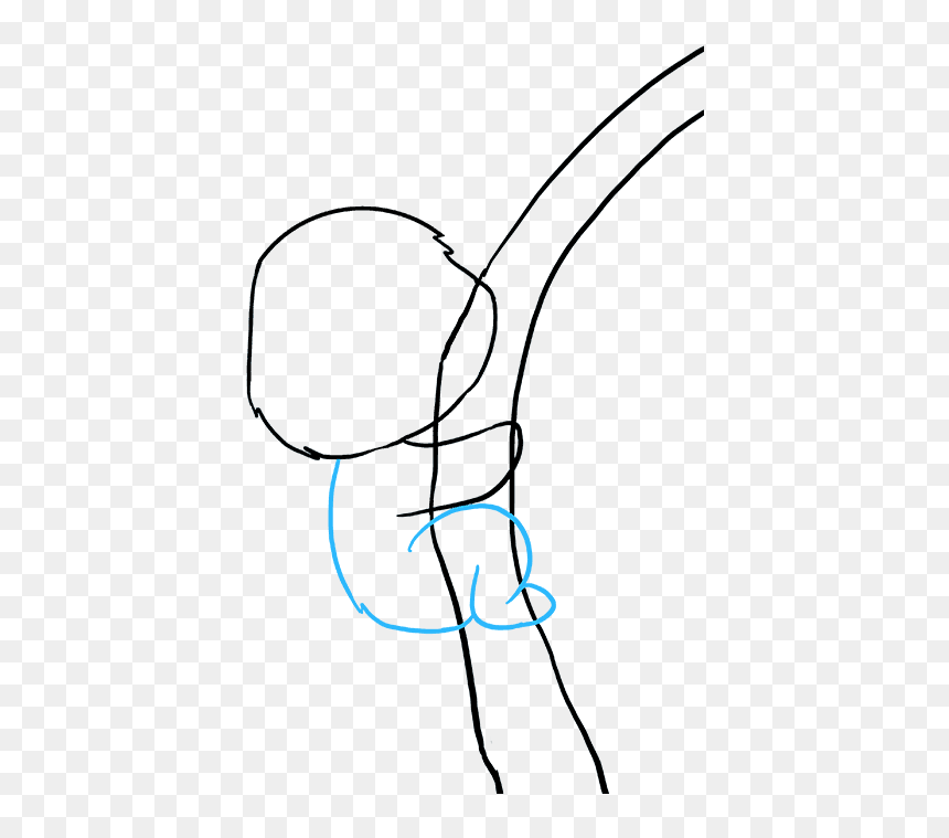 How To Draw Koala - Line Art, HD Png Download - koala emoji png