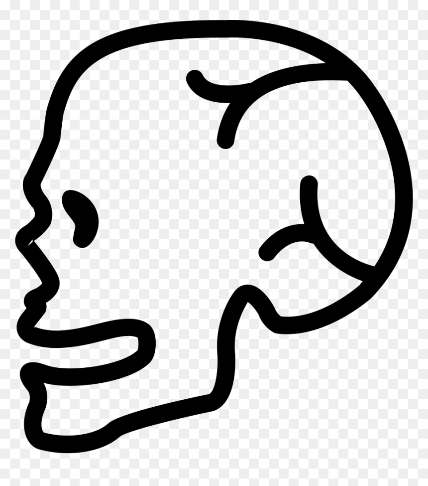 Human Skull Side View - Skull, HD Png Download - human skull png