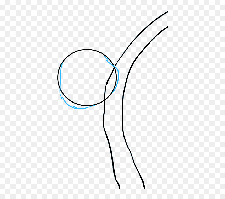 How To Draw Koala - Line Art, HD Png Download - koala emoji png