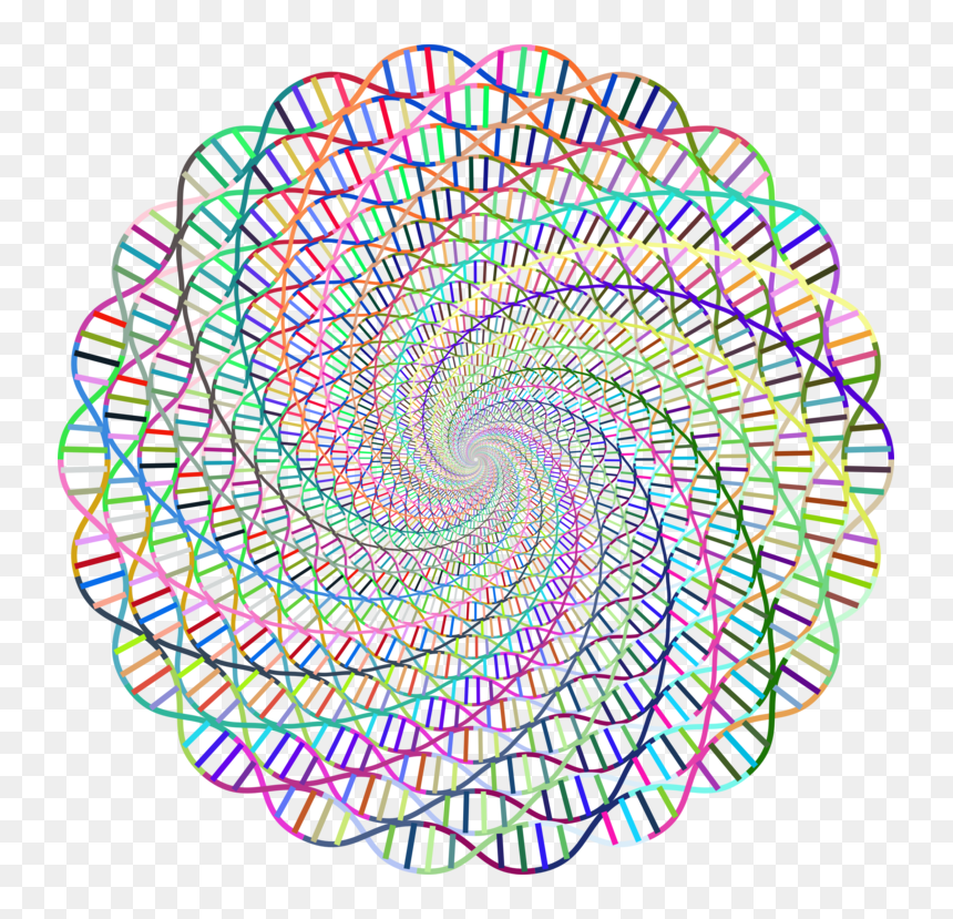 Line,circle,nucleic Acid Double Helix - Dna Rainbow, HD Png Download - double circle png