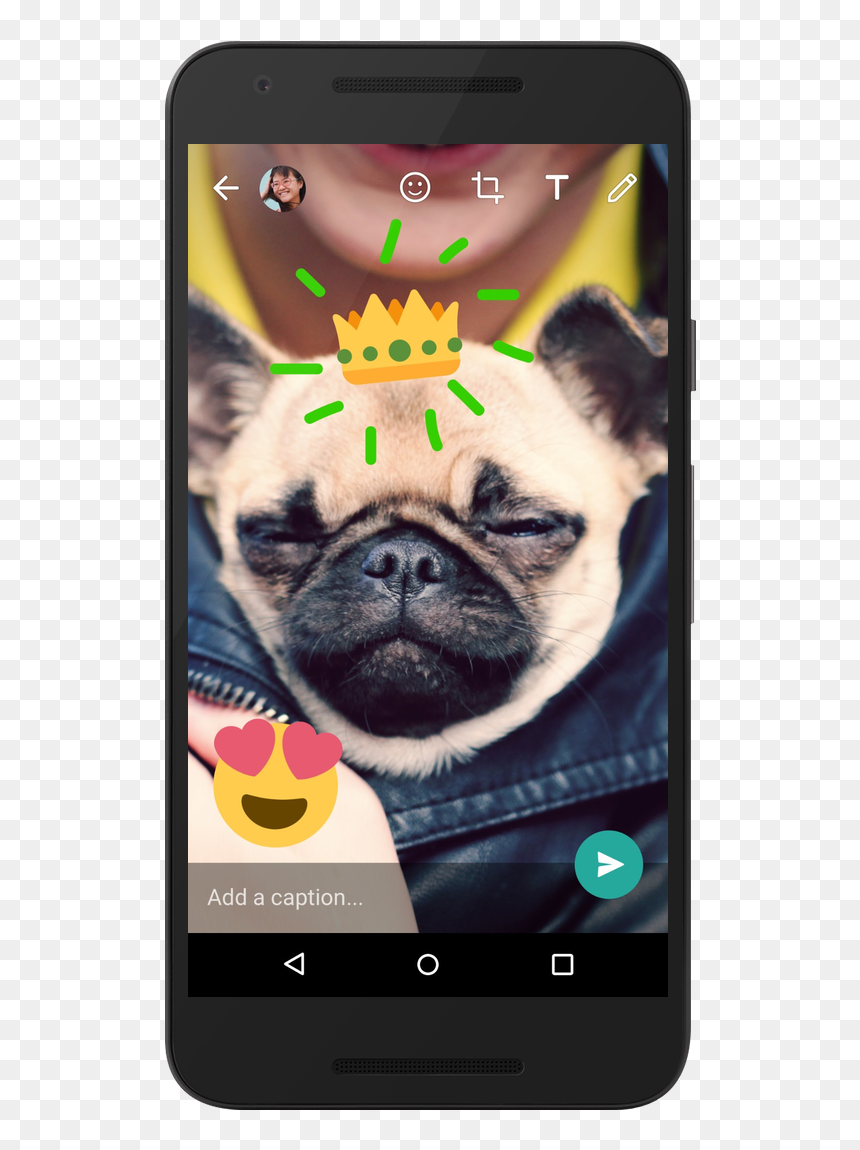 Whatsapp Camera Features - Whatsapp Camera, HD Png Download - snapchat hot dog png