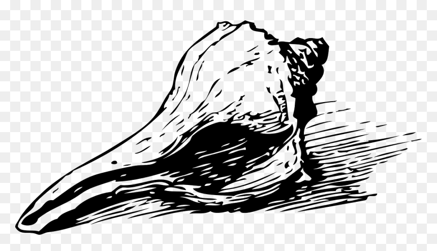 Seashell Clip Art, HD Png Download - conch shell png