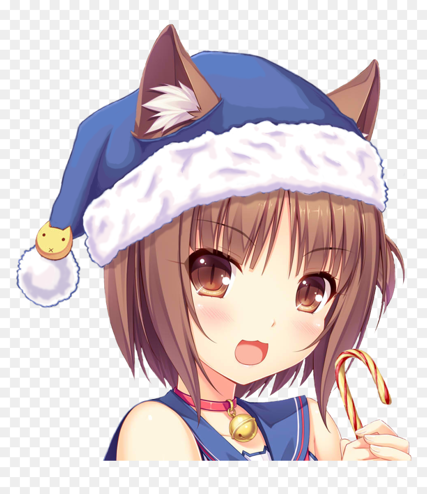 Transparent Nekopara Vanilla Png - Nekopara Azuki, Png Download - nekopara png