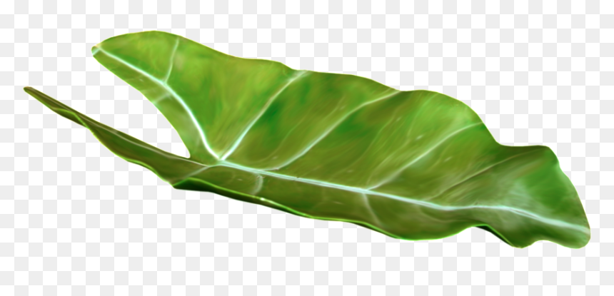 Tropical Leaf Png - Portable Network Graphics, Transparent Png - vegetable plant png