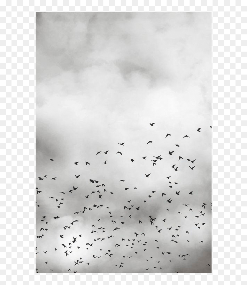 Flock, HD Png Download - dream cloud png