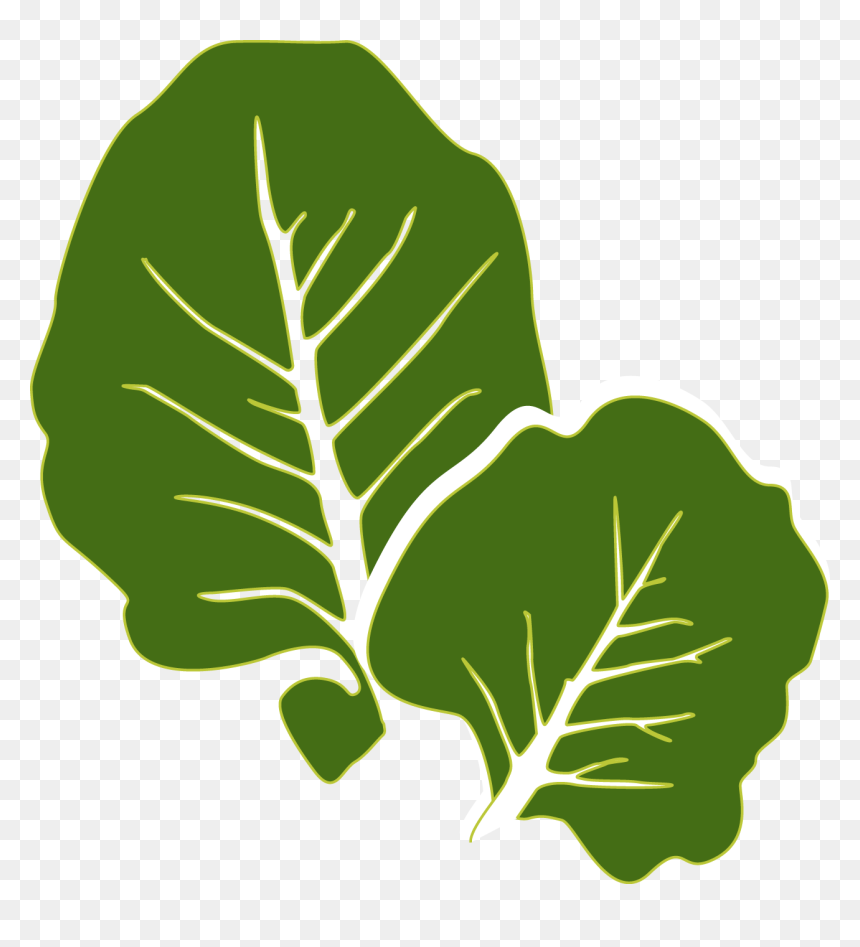 Collards Clipart Transparent, HD Png Download - collard greens png