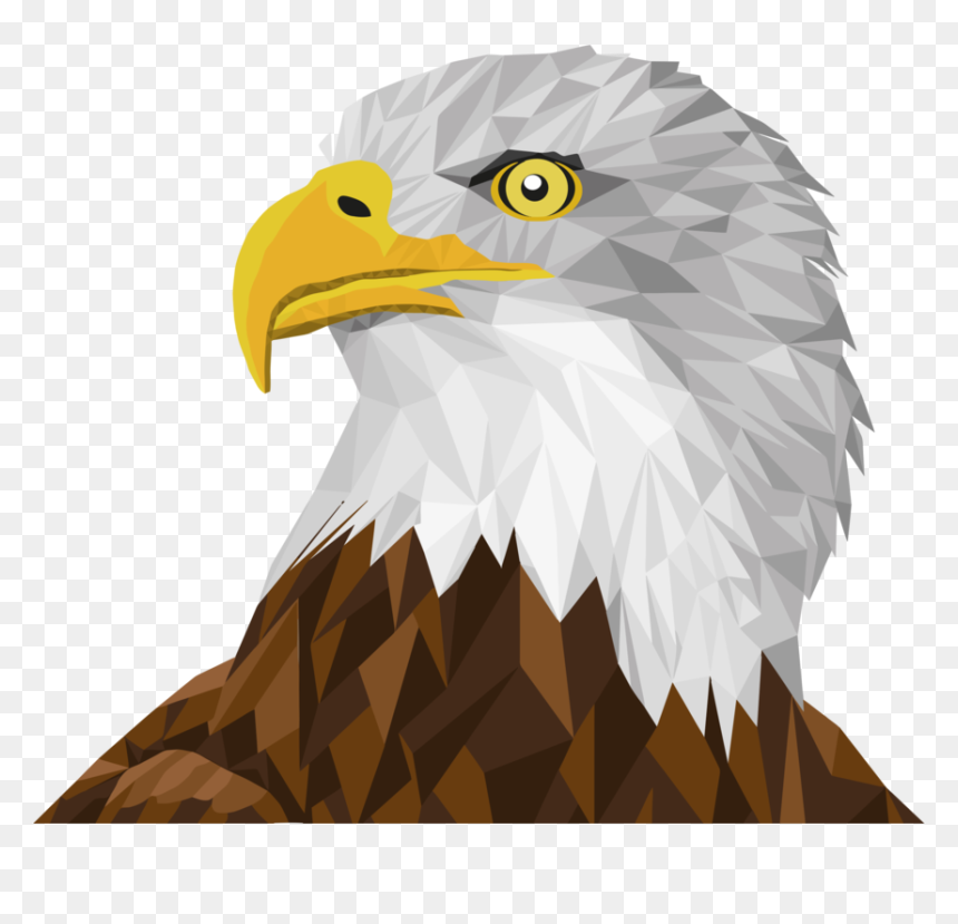 Bald - Geometric Bird Transparent, HD Png Download - bald png