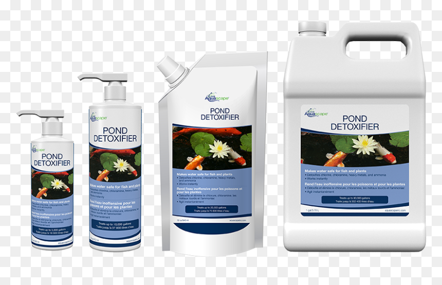 Pond, HD Png Download - water plants png