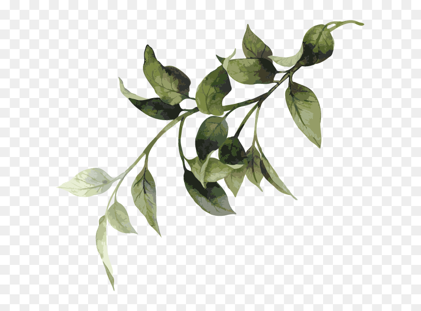 Sorrow Of War [book] , Png Download - Twig, Transparent Png - shrubbery png