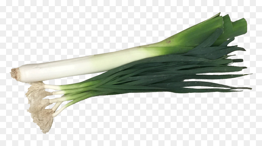 Leek Png, Transparent Png - vegetable plant png
