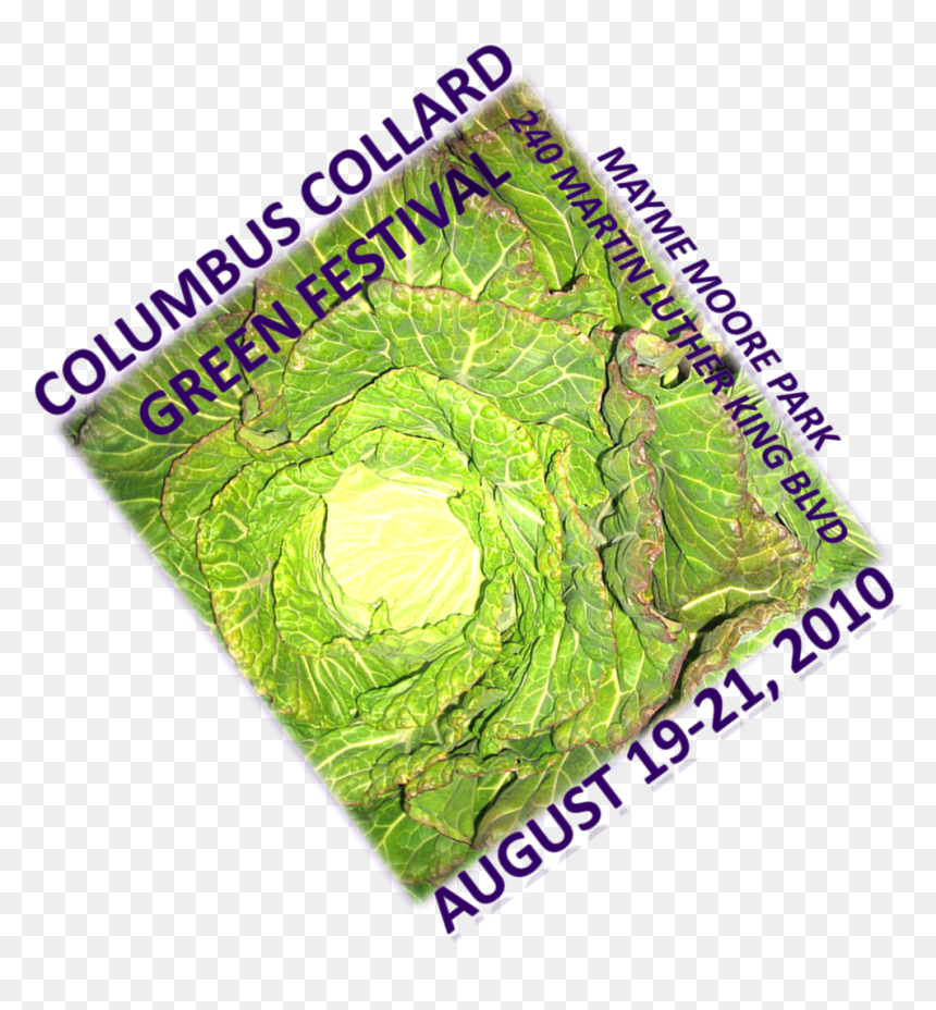 Parallel, HD Png Download - collard greens png