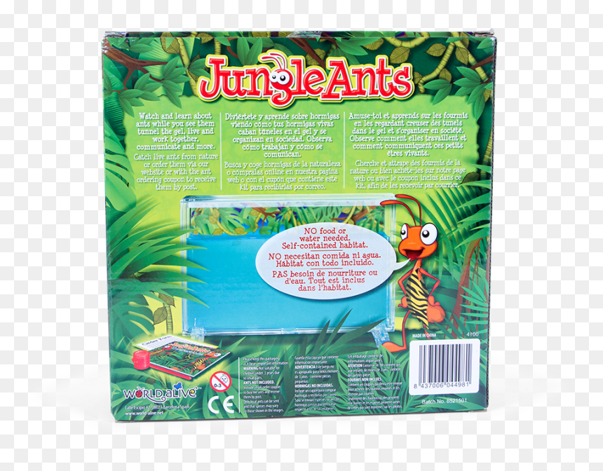 Ant Farm Jungle Ants, HD Png Download - water plants png